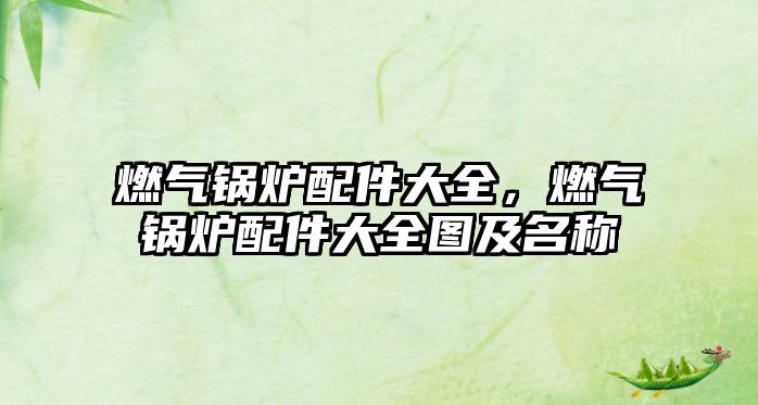 燃?xì)忮仩t配件大全，燃?xì)忮仩t配件大全圖及名稱