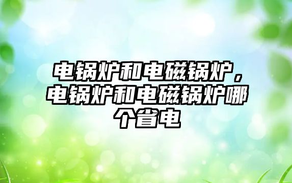 電鍋爐和電磁鍋爐，電鍋爐和電磁鍋爐哪個(gè)省電