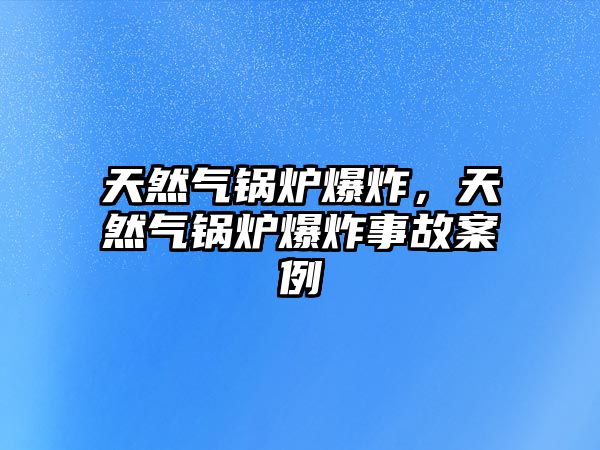 天然氣鍋爐爆炸，天然氣鍋爐爆炸事故案例