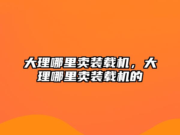 大理哪里賣裝載機，大理哪里賣裝載機的