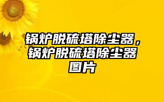 鍋爐脫硫塔除塵器，鍋爐脫硫塔除塵器圖片