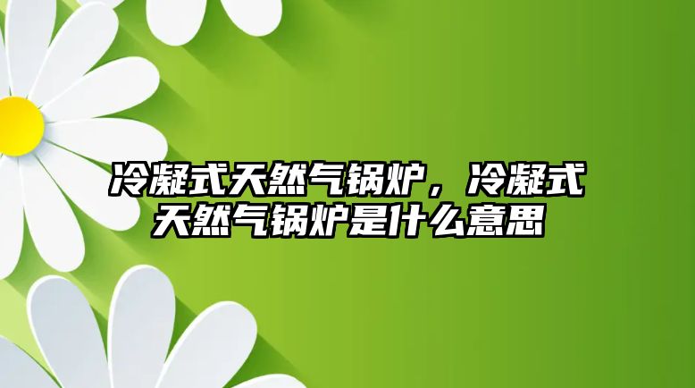 冷凝式天然氣鍋爐，冷凝式天然氣鍋爐是什么意思