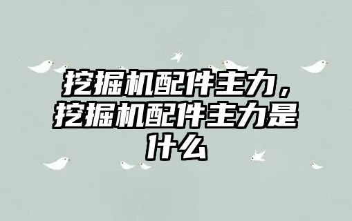 挖掘機配件主力，挖掘機配件主力是什么