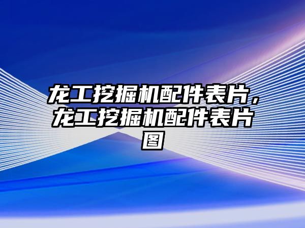 龍工挖掘機配件表片，龍工挖掘機配件表片圖