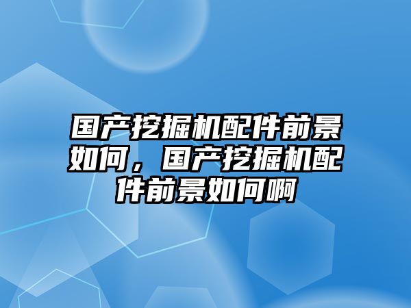 國產(chǎn)挖掘機配件前景如何，國產(chǎn)挖掘機配件前景如何啊