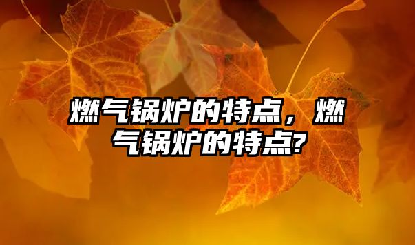 燃?xì)忮仩t的特點(diǎn)，燃?xì)忮仩t的特點(diǎn)?