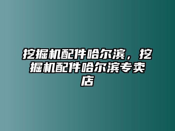 挖掘機配件哈爾濱，挖掘機配件哈爾濱專賣店