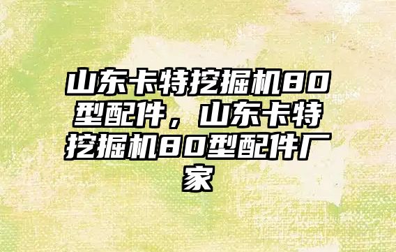 山東卡特挖掘機80型配件，山東卡特挖掘機80型配件廠家