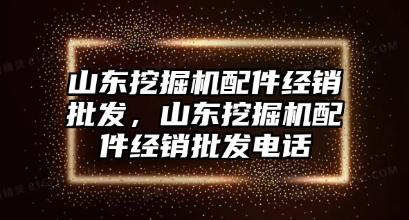 山東挖掘機配件經(jīng)銷批發(fā)，山東挖掘機配件經(jīng)銷批發(fā)電話