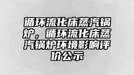 循環(huán)流化床蒸汽鍋爐，循環(huán)流化床蒸汽鍋爐環(huán)境影響評價公示