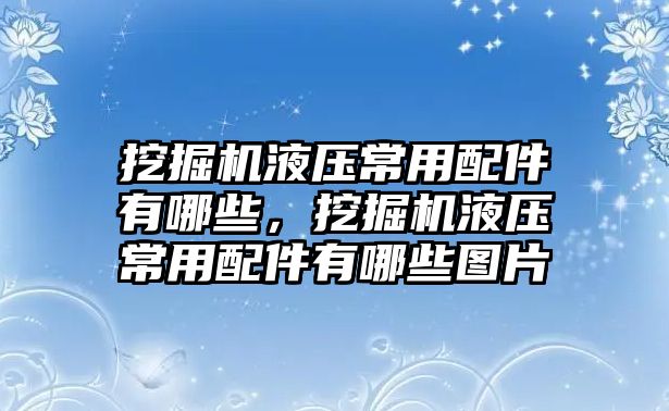 挖掘機液壓常用配件有哪些，挖掘機液壓常用配件有哪些圖片