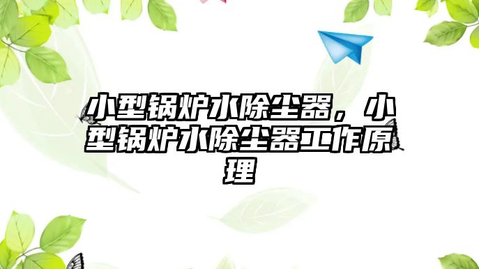 小型鍋爐水除塵器，小型鍋爐水除塵器工作原理