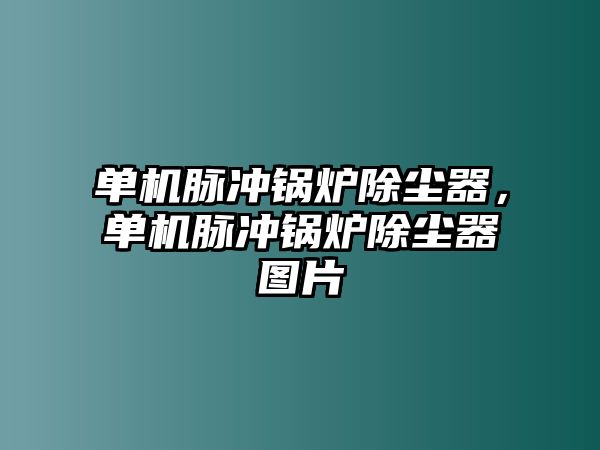 單機脈沖鍋爐除塵器，單機脈沖鍋爐除塵器圖片