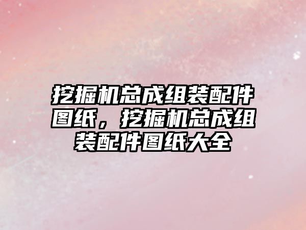 挖掘機總成組裝配件圖紙，挖掘機總成組裝配件圖紙大全