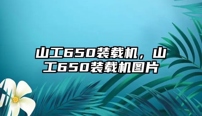 山工650裝載機(jī)，山工650裝載機(jī)圖片