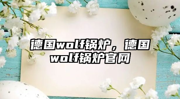 德國wolf鍋爐，德國wolf鍋爐官網(wǎng)