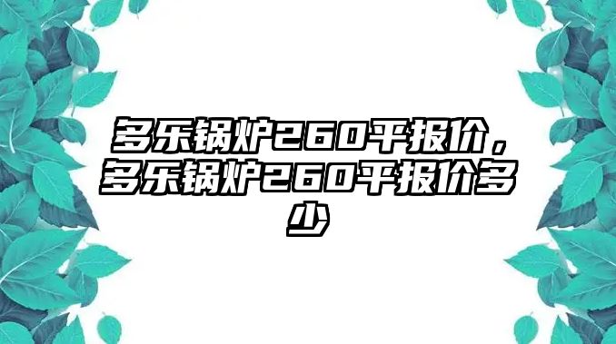 多樂鍋爐260平報價，多樂鍋爐260平報價多少