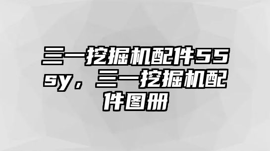 三一挖掘機(jī)配件55sy，三一挖掘機(jī)配件圖冊(cè)