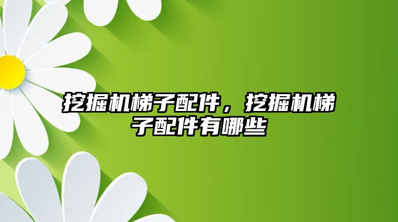 挖掘機梯子配件，挖掘機梯子配件有哪些