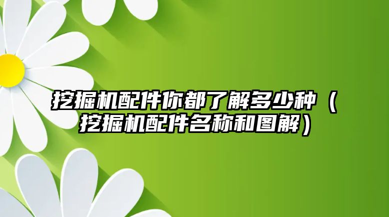 挖掘機(jī)配件你都了解多少種（挖掘機(jī)配件名稱(chēng)和圖解）