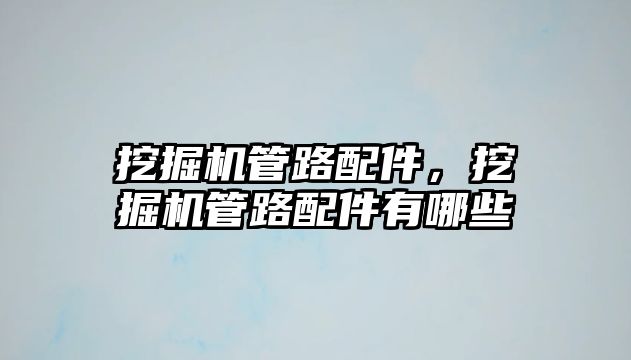 挖掘機管路配件，挖掘機管路配件有哪些