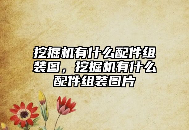 挖掘機有什么配件組裝圖，挖掘機有什么配件組裝圖片