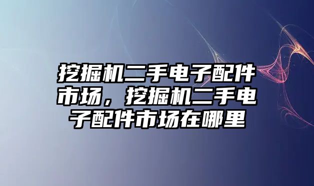 挖掘機(jī)二手電子配件市場，挖掘機(jī)二手電子配件市場在哪里