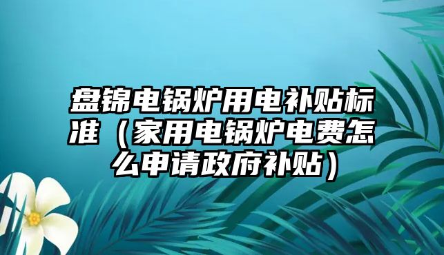 盤錦電鍋爐用電補(bǔ)貼標(biāo)準(zhǔn)（家用電鍋爐電費(fèi)怎么申請(qǐng)政府補(bǔ)貼）