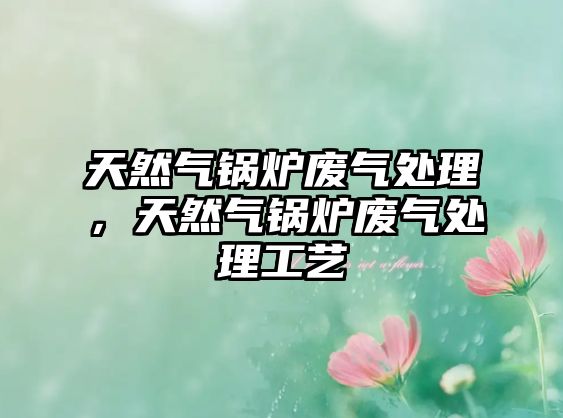 天然氣鍋爐廢氣處理，天然氣鍋爐廢氣處理工藝