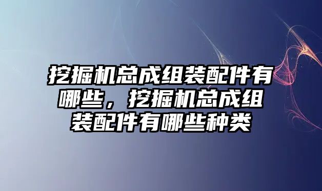 挖掘機總成組裝配件有哪些，挖掘機總成組裝配件有哪些種類