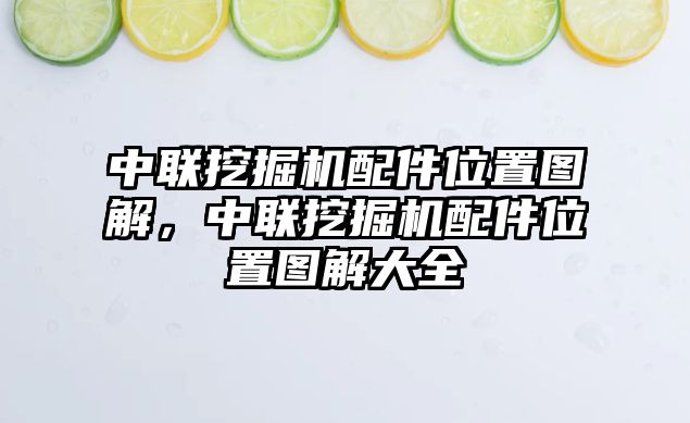 中聯(lián)挖掘機配件位置圖解，中聯(lián)挖掘機配件位置圖解大全