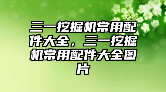 三一挖掘機常用配件大全，三一挖掘機常用配件大全圖片