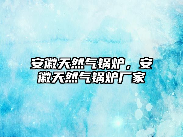 安徽天然氣鍋爐，安徽天然氣鍋爐廠家