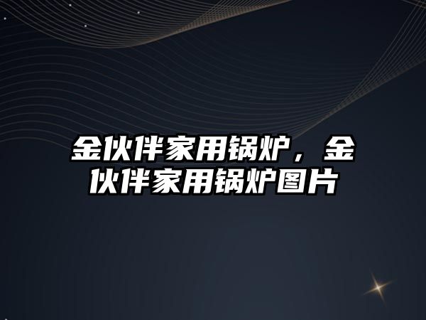 金伙伴家用鍋爐，金伙伴家用鍋爐圖片