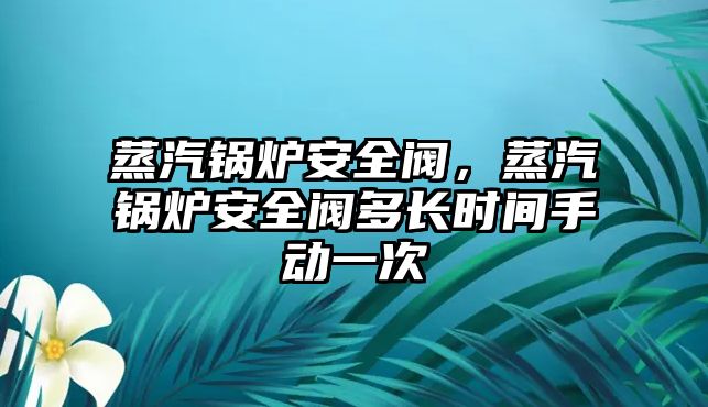 蒸汽鍋爐安全閥，蒸汽鍋爐安全閥多長時(shí)間手動(dòng)一次