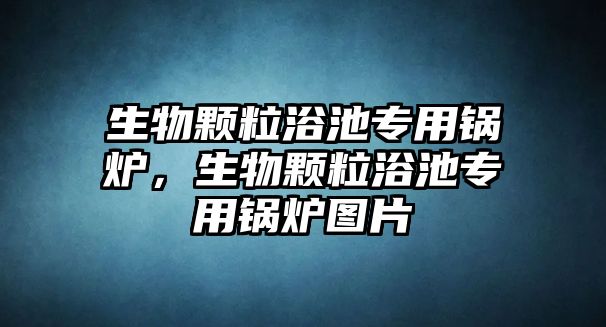 生物顆粒浴池專用鍋爐，生物顆粒浴池專用鍋爐圖片