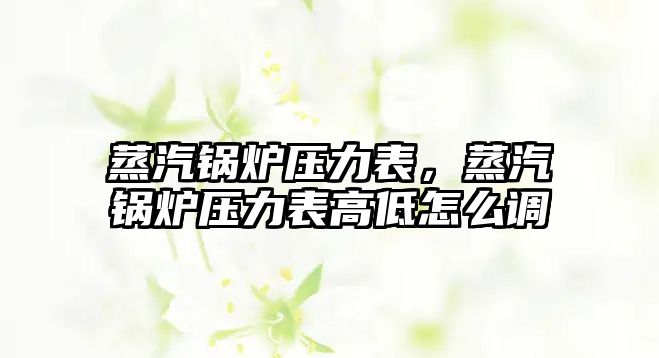 蒸汽鍋爐壓力表，蒸汽鍋爐壓力表高低怎么調(diào)