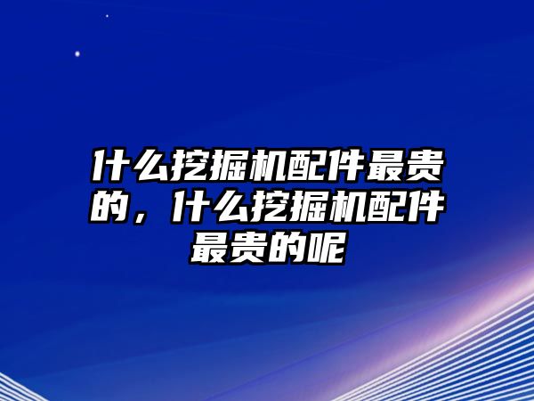 什么挖掘機(jī)配件最貴的，什么挖掘機(jī)配件最貴的呢