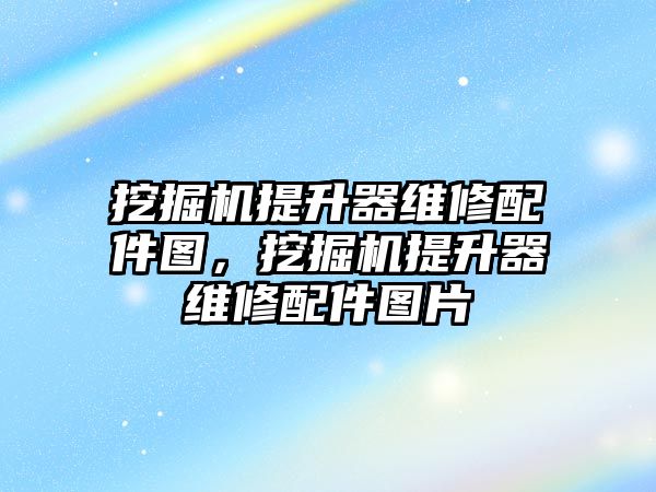 挖掘機提升器維修配件圖，挖掘機提升器維修配件圖片