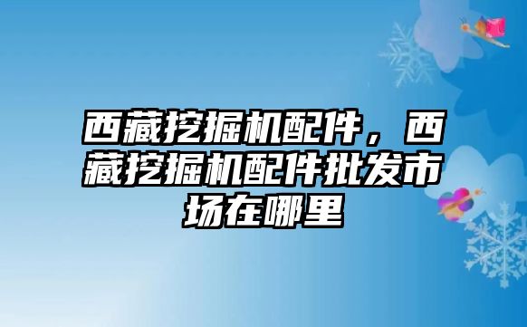 西藏挖掘機(jī)配件，西藏挖掘機(jī)配件批發(fā)市場(chǎng)在哪里