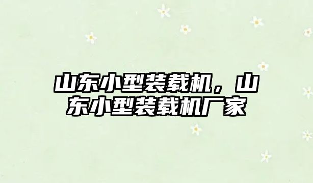 山東小型裝載機，山東小型裝載機廠家