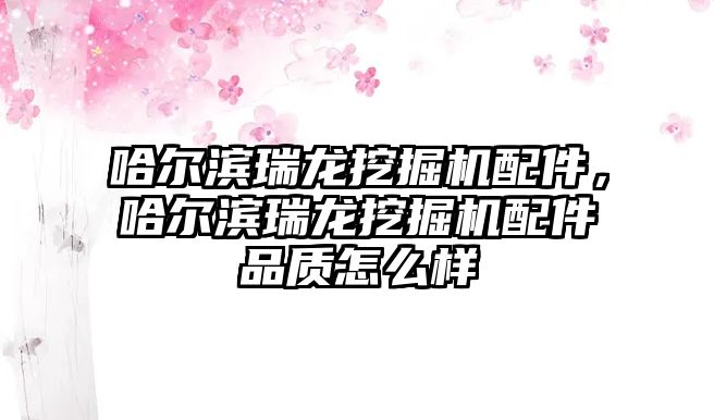 哈爾濱瑞龍挖掘機配件，哈爾濱瑞龍挖掘機配件品質(zhì)怎么樣