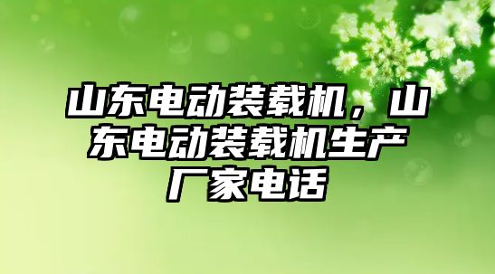 山東電動裝載機，山東電動裝載機生產廠家電話