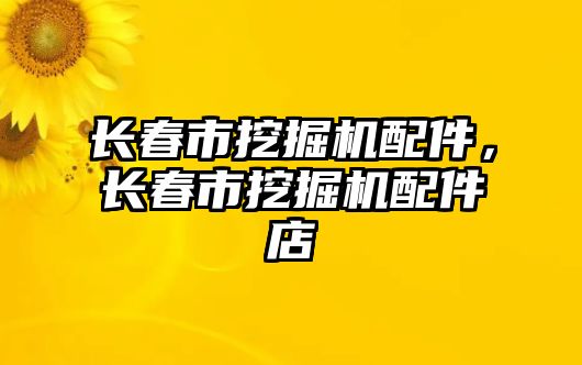 長春市挖掘機配件，長春市挖掘機配件店