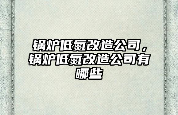 鍋爐低氮改造公司，鍋爐低氮改造公司有哪些