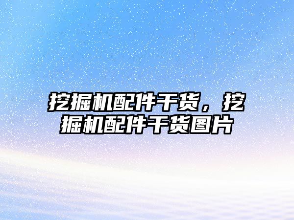 挖掘機配件干貨，挖掘機配件干貨圖片