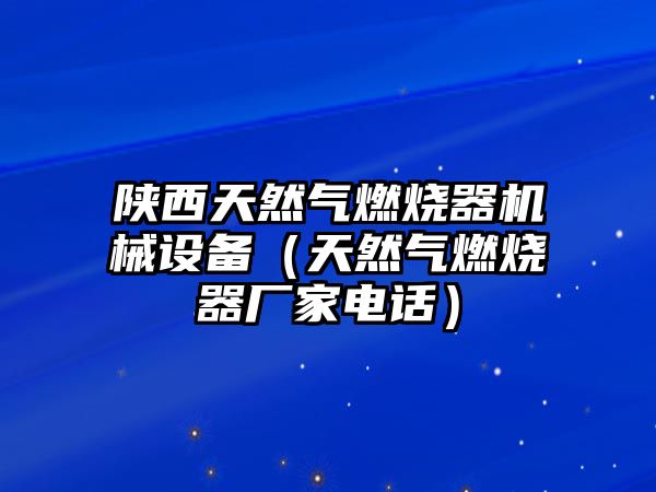 陜西天然氣燃燒器機(jī)械設(shè)備（天然氣燃燒器廠家電話）