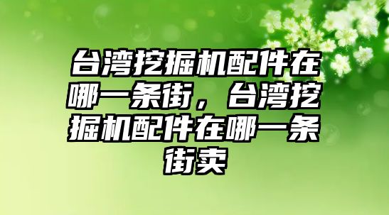 臺(tái)灣挖掘機(jī)配件在哪一條街，臺(tái)灣挖掘機(jī)配件在哪一條街賣