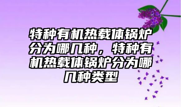 特種有機(jī)熱載體鍋爐分為哪幾種，特種有機(jī)熱載體鍋爐分為哪幾種類型