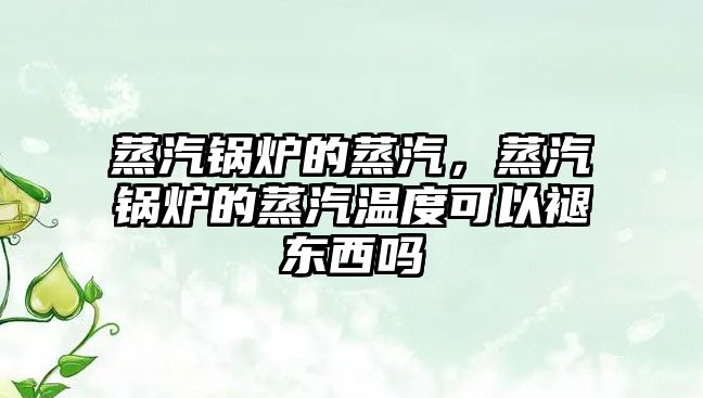 蒸汽鍋爐的蒸汽，蒸汽鍋爐的蒸汽溫度可以褪東西嗎